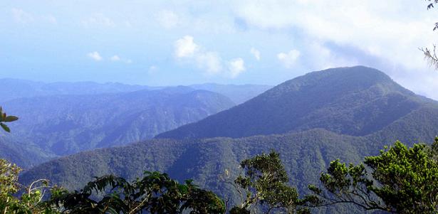 Blue Mountains en Jamaica